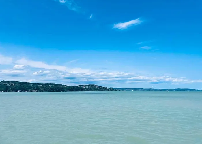 Unit_type_semidetached_house 55082 *